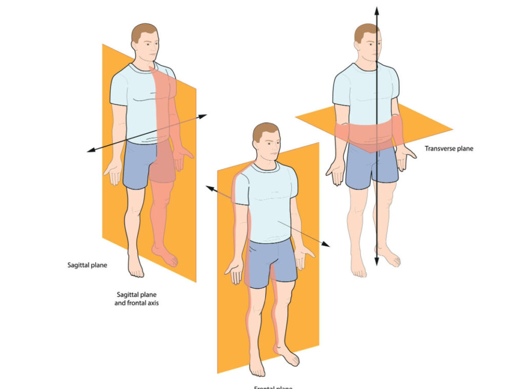 BodyPlanesと姿勢分析